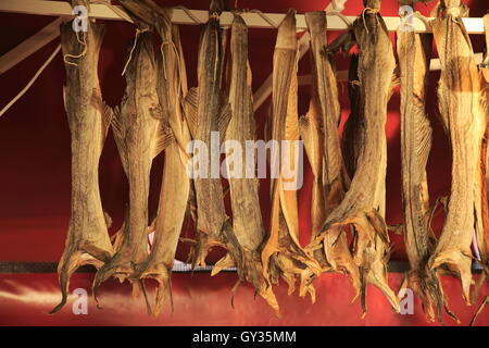 Dried cod hanging in fish market Torget market square area of Vagen harbour, Bergen, Norway Stock Photo