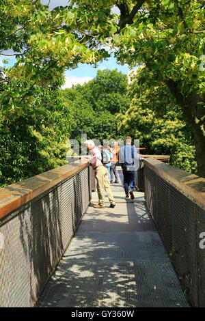Xstrata Treetop Walkway, Royal Botanic Gardens, Kew, London, England, UK Stock Photo