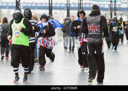 The Great Gorilla Run now in its 14th year, is a charity fun run that has raised well over £2 million for gorilla conservation and poverty reduction projects in central Africa.   Hundreds of people dressed as gorillas run, jog or walk 8km though the City of London, raising money to help save a species on the edge of extinction. Stock Photo