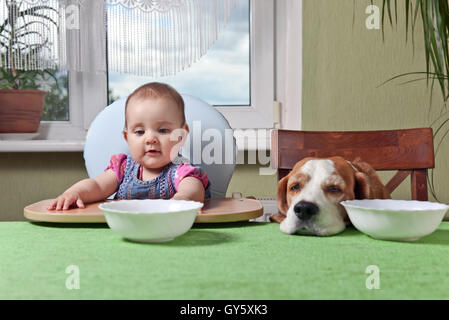 little girl with a dog waiting for dinner Stock Photo