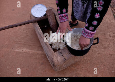 Member of Hmong Tribe in Mae Khi village preparing traditional sticky rice in Mae Rim District, Chiang Mai, northern Thailand. Many Hmong people migrated from Laos to Thailand following the victory of the Pathet Lao in the late 1970s. While some ended up in refugee camps, others settled in mountainous areas becoming one of the ethnic groups referred to as Hill Tribes in Thailand Stock Photo