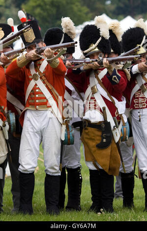 Napoleonic wars re-enactment. British Redcoats, 1st foot regiment ...