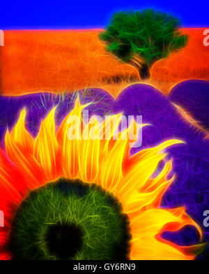 DIGITAL ART: Sunflower & Lavender, Provence Stock Photo