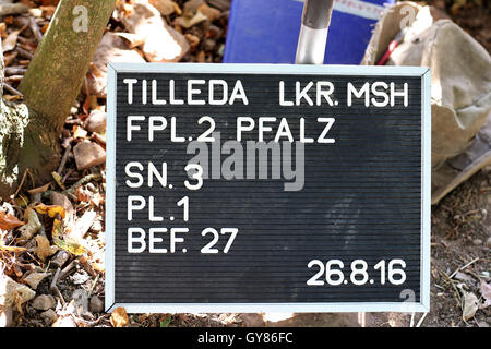 Tilleda, Germany. 29th Aug, 2016. An excavation board duringn a training dig at the Tilleda royal palace in Tilleda, Germany, 29 August 2016. It was determined during excavations that the former mediaeval royal palace was twice as large as previously thought. In 972 Emperor Otto II (955-983) gave the area of the Tilleda royal palace to his wife, the Byzantine princess Theophano, as a dowry. With a surface of 4 hectares, Tilleda is the largest archaeological open-air museum in Saxony-Anhalt today. Photo: JAN WOITAS/dpa/Alamy Live News Stock Photo