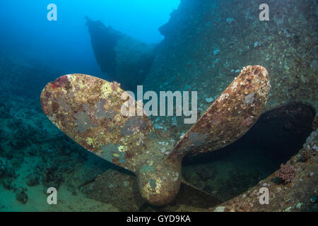 Propeller of ship wreck Giannis D in the Red Sea, Egypt. Stock Photo