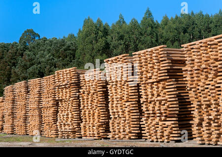 Wood industry, Morpeguite, Muxia, La Coruña province, Region of Galicia, Spain, Europe Stock Photo