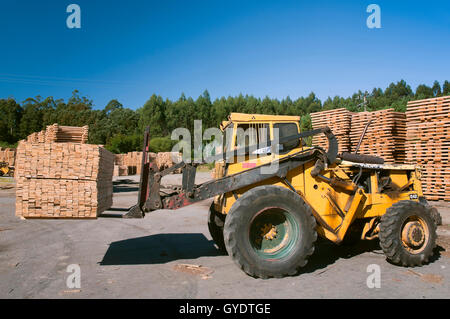 Wood industry, Morpeguite, Muxia, La Coruña province, Region of Galicia, Spain, Europe Stock Photo