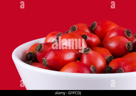 Rose hips in white bowl on red, also rose haw or rose hep. Ripe red fruits of roses. Stock Photo