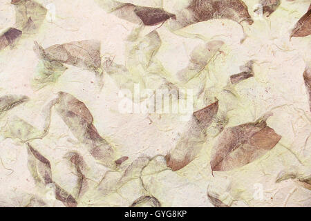 solften brown and green mulberry paper with Dry leaf texture background. Stock Photo