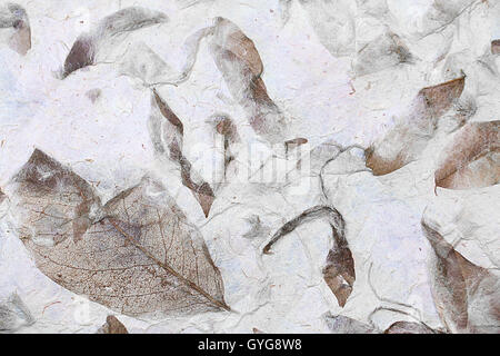 solften brown mulberry paper with Dry leaf texture background. Stock Photo