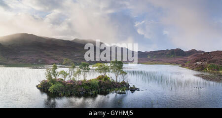 Tree island on Dock Tarn in the fells above Watendlath in the English Lake District on a later summer's morning with mist Stock Photo