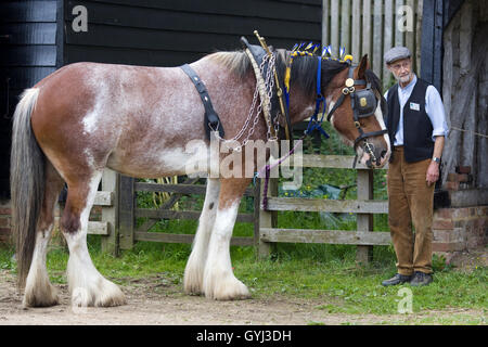 Man and his horse in stable yard Stock Photo