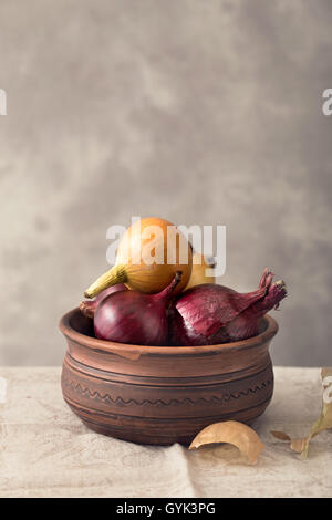 Bowl of yellow and red onions Stock Photo