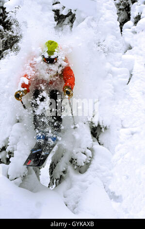 freerider passing snow covered coniferous tree, France, Savoie, Sainte-Foy Tarentaise Stock Photo