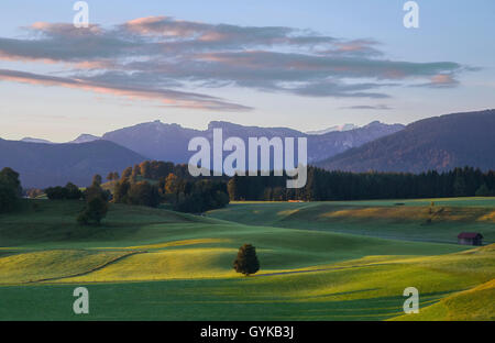 Ammergau Alps and Zugspitze seen from nearby Wildsteig, Germany, Bavaria, Oberbayern, Upper Bavaria Stock Photo