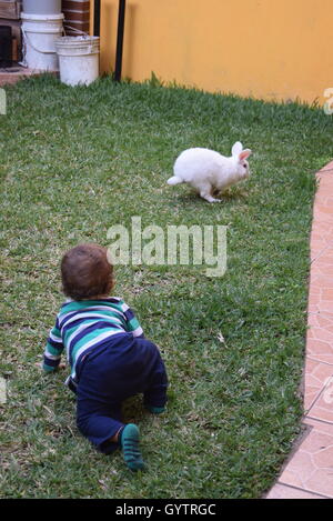 Baby crawling with domestic white rabbit in a garden Stock Photo