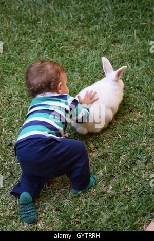 Baby playing with domestic white rabbit in a garden Stock Photo