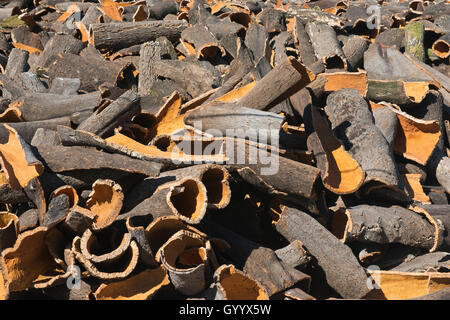Peeled cork oak bark (Quercus suber), Faro District, Portugal Stock Photo