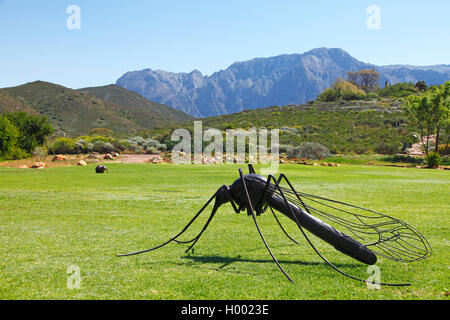Karoo Desert National Botanical Garden, sculpture of a mosquito, South Africa, Western Cape, Worcester Stock Photo