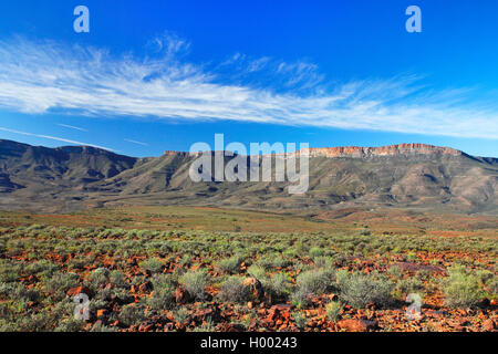 Karoo National Park, high plain in front of Nuweveld Mountains, South Africa, Western Cape, Karoo National Park Stock Photo