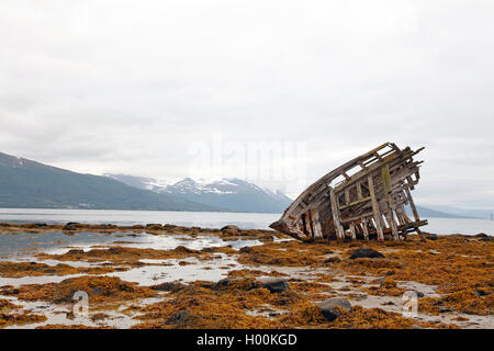 shipwreck in front of the peninsula of Tisnes, Norway, Tromsoe
