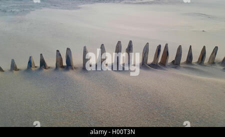 Holzzaun in einer Sandverwehung, Niederlande | wooden fence in sand drift, Netherlands | BLWS425069.jpg [ (c) blickwinkel/fototo Stock Photo