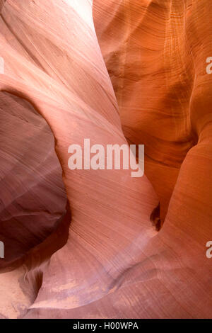 sandstone formations in Antelope Canyon, USA, Arizona, Antelope Canyon, Page Stock Photo