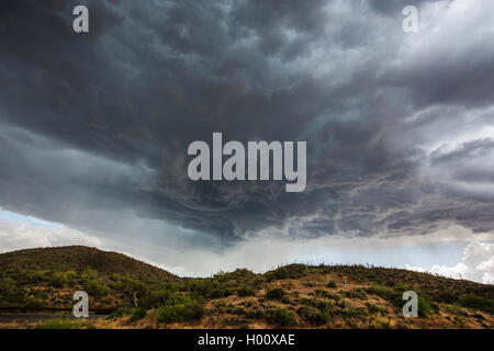 thunderstorm over the desert, USA, Arizona, Sonoran Stock Photo
