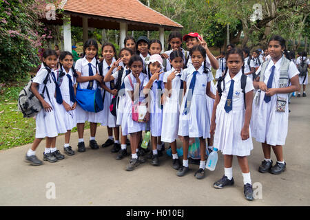 School Girls In Uniform Kandy Central Province Sri Lanka Stock Photo Alamy