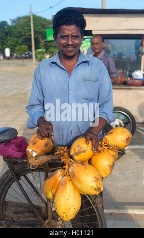 GALLE, SRI LANKA - MARCH 5, 2014: Local man selling fresh coconuts on his bike. Fresh coconuts contain milk which is a great dri Stock Photo
