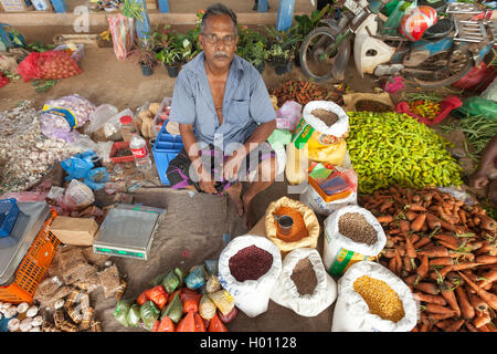 HIKKADUWA, SRI LANKA - FEBRUARY 23, 2014: Local street vendor selling spices. The Sunday market is great way to see Hikkaduwa's  Stock Photo