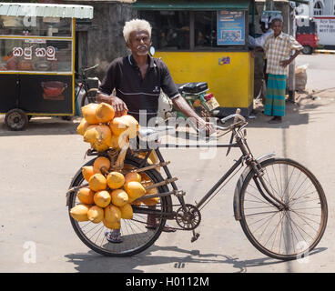 GALLE, SRI LANKA - MARCH 11, 2014: Elderly local man selling king coconuts on his bike. King coconut also known as Thambili is t Stock Photo