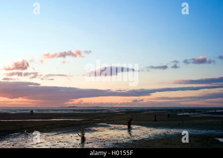 couple in the wadden sea at sahlburg, island Neuwerk in the background, Germany, Hamburgisches Wattenmeer National Park Stock Photo