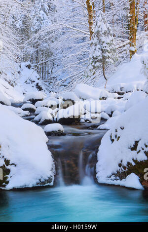 small river Urnaesch , Switzerland, Appenzell Stock Photo