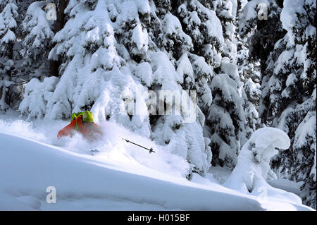 freerider passing snow covered coniferous forest, France, Savoie Stock Photo