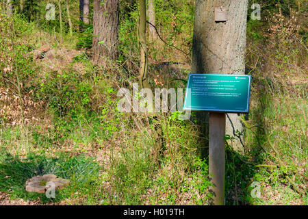 sample grave in Friedwald forest, Germany, Lower Saxony Stock Photo