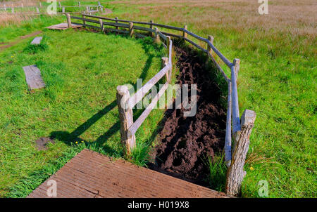 muddy path in moor for Kneipp cure, Germany, Lower Saxony, Huvenhoopsmoor Stock Photo