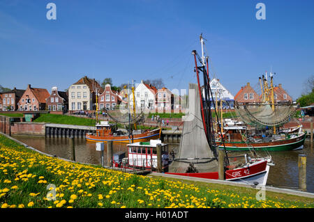 shrimp boats in the fishing port of Greetsiel, Germany, Lower Saxony, East Frisia, Greetsiel Stock Photo