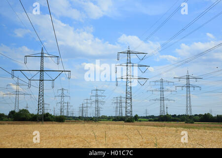 power poles in a grain field, Germany, Baden-Wuerttemberg Stock Photo