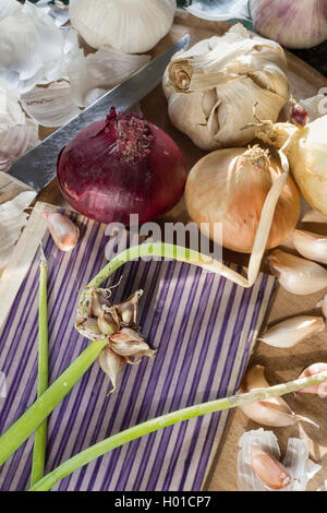 Different organic garlic and onions with an old book cover as a natural still life for healthy and vegetarian food and cooking Stock Photo