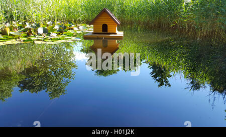 swimming duck house on a pond Stock Photo