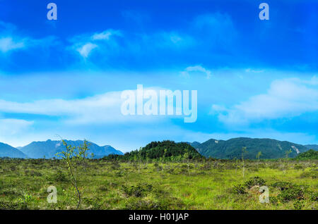 high moor with view onto the Ammer mountains, Germany, Bavaria, Oberbayern-Region Murnauer Moos Stock Photo