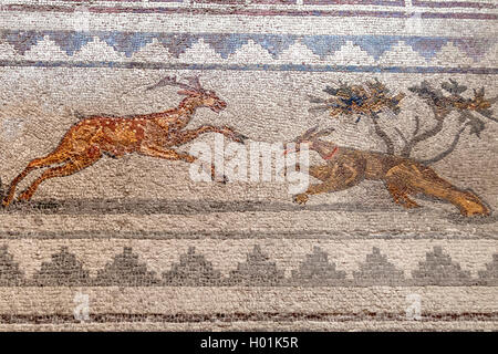 Hunting Scene Mosaic Paphos Cyprus Stock Photo