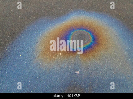 oil spill on road, Germany, Lower Saxony Stock Photo