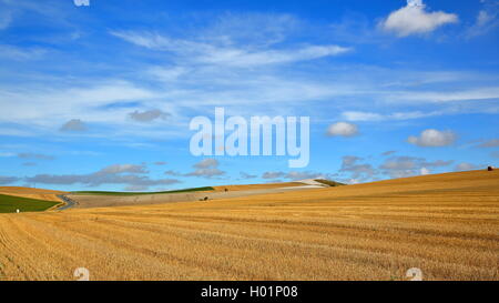 Fields with bales of Hay near Cap Blanc Nez, Cote d'Opale, Pas-de-Calais, France Stock Photo