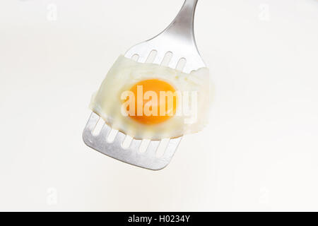 Appetizing and Perfectly Fried Egg on a Spatula, isolated on white background Stock Photo