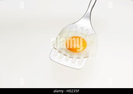 Appetizing and Perfectly Fried Egg on a Spatula, isolated on white background Stock Photo