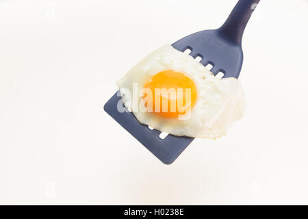 Appetizing and Perfectly Fried Egg on a Spatula, isolated on white background Stock Photo