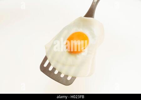 Appetizing and Perfectly Fried Egg on a Spatula, isolated on white background Stock Photo