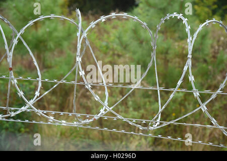 Razor wire security fence Stock Photo